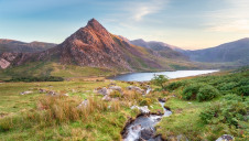 A play on 'build back better', the letter urges measures to help the UK 'grow back better' by taking more ambitious action on nature